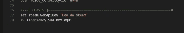 Trecho do arquivo de configuração com as linhas steam_webApiKey e sv_licenseKey